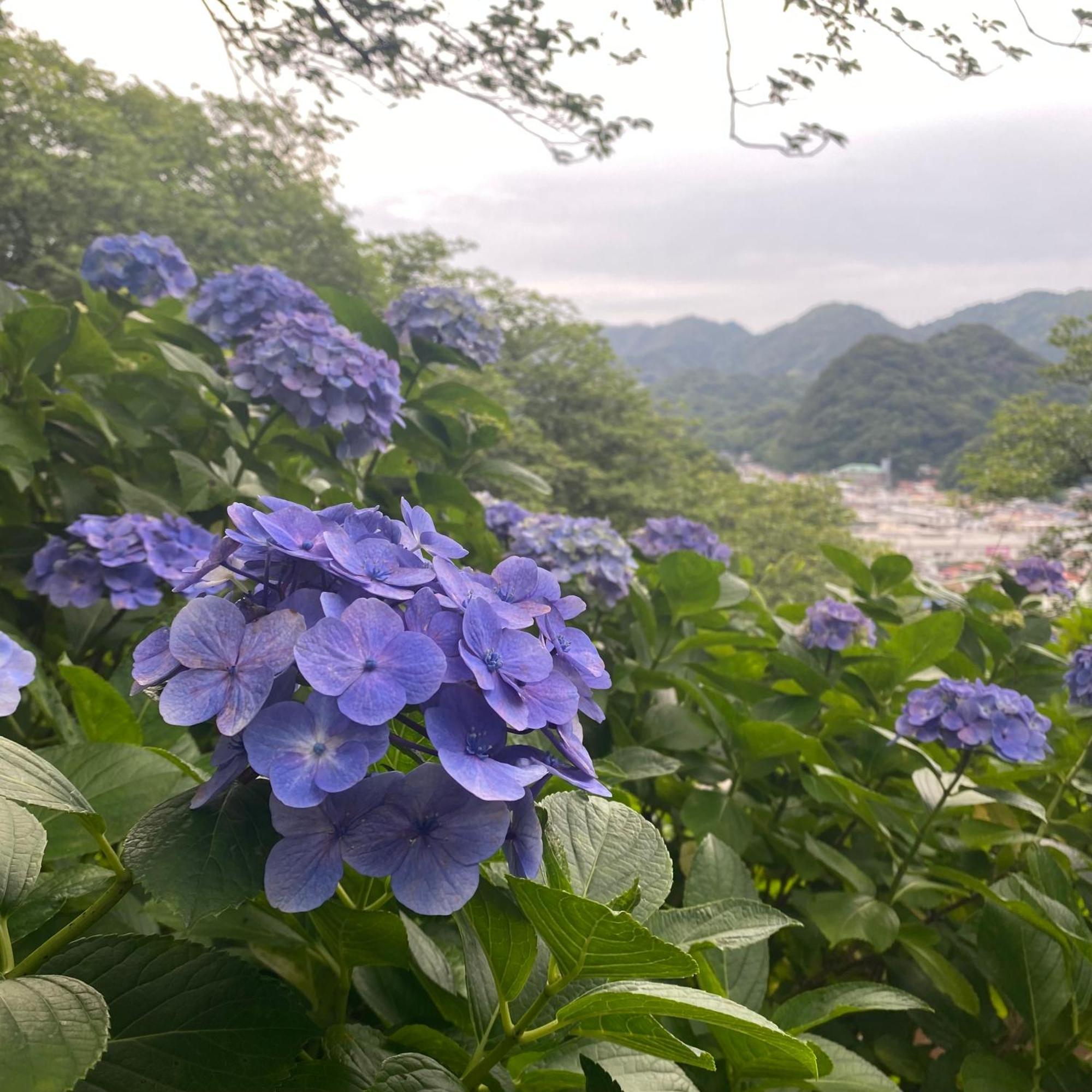 Toraya Attic Villa Shimoda  Exterior foto